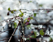 Сонце, морози і антициклон: детальний прогноз погоди на початок березня - фото з відкритих джерел