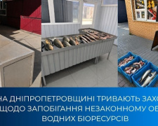 Фото Дніпропектровський рибоохоронний патруль