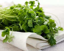 Кінза для серця та смаку: як додавати у страви - фото з відкритих джерел