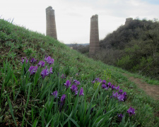 Балка Північна Червона