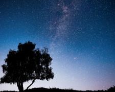 Як побачити найяскравіший зорепад літа в Україні - фото з відкритих джерел