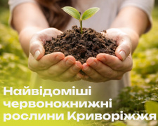 Фото Інститут розвитку міста Кривого Рогу