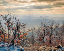Фото з відкритих джерел
