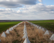 Фото з відкритих джерел