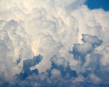 Фото з відкритих джерел