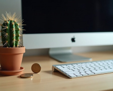 Розвінчуємо міф про кактуси і радіацію - фото з відкритих джерел