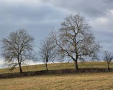 Погода на тиждень - фото ілюстративне з відкритих джерел 