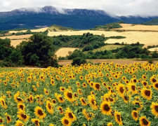 Погода на вікенд - фото ілюстративне з відкритих джерел  