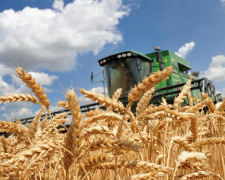 Світовий урожай зерна скорочується: що прогнозують для України?