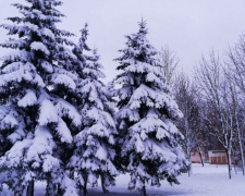 На Рождество в Кривом Роге усилится мороз: чего ждать от погоды в ближайшие дни