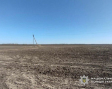 Сотні гектарів «зникли» з декларації: на Криворіжжі судитимуть депутата за недостовірну інформацію