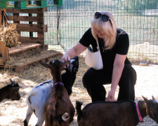 Кафе з козами, фото Державної служби зайнятості 