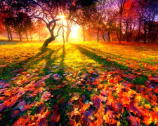 Погода на вікенд - фото ілюстративне з відкритих джерел  