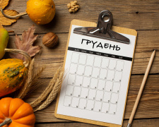 Що сіяти й робити в грудні: поради для саду та дому - фото з відкритих джерел