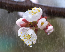 Погода змінюється: де в Україні буде найтепліше на вихідних - фото з відкритих джерел