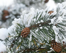 Святкові та робочі дні в Україні у січні 2026 року - фото з відкритих джерел