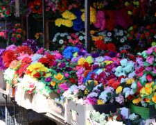 Що принести на кладовище замість штучних квітів: прості рішення - фото з відкритих джерел