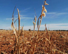 фото з відкритих джерел 