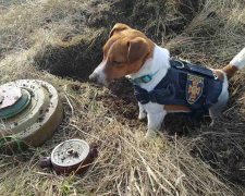 Фото Гончаренко Центру