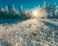 День зимового сонцестояння - фото ілюстративне з відкритих джерел 