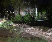 Фото krivbass.city