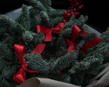 Декор ялинки 2026: що буде в тренді цієї зими - фото з відкритих джерел