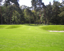 Простий осінній метод боротьби з мохом і бур’янами - фото з відкритих джерел