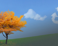 Фото пресслужби Дніпропетровської ОВА