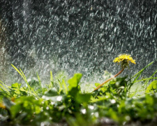 Аномально холодний травень - фото ілюстративне