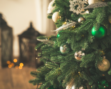 Новорічна ялинка без відходів: практичні та екологічні рішення - фото з відкритих джерел