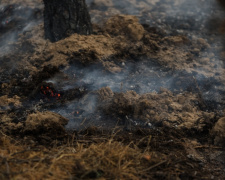 Пожежі на Дніпропетровщині, фото пресслужби Дніпропетровської ОВА