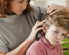 Педикульоз у дитини, фото з відкритих джерел 