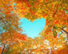 Осіннє рівнодення: давні вірування та сучасне значення - фото з відкритих джерел