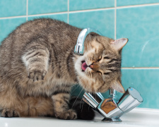 Як використовувати безпечно воду у разі тривалої відсутности централізованого водопостачання, фото з відкритих джерел 