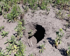 Фото Метеостанція у Великій Олександрівці