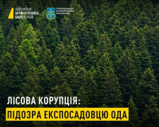 Вимагав 200 тисяч доларів: на Дніпропетровщині ексзаступника ОДА підозрюють у корупції