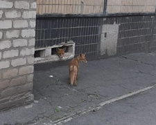 Фото Анастасії Іванової Facebook