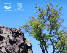 Від екскурсій до вистав і майстер-класів: куди піти у Кривому Розі 5–6 вересня