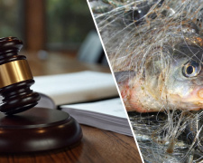 Фото з відкритих джерел