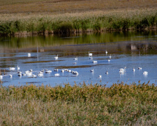 Фото спільнота "Природа Криворіжжя"