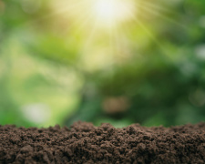 Як зрозуміти, який ґрунт у вас на городі - фото з відкритих джерел