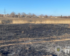 П&#039;ять років буцегарні загрожує жителю Дніпропетровщини за спалену траву
