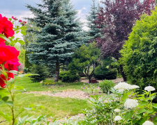 Як створити сенсорний простір, що дарує спокій і надихає - фото з відкритих джерел