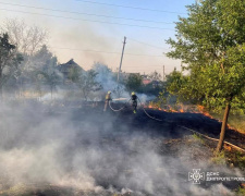 Дніпропетровщина палає: за добу в регіоні вогонь знищив понад 40 гектарів екосистем