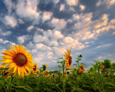 Погода на уїк-енд - фото ілюстративне з відкритих джерел  