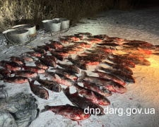 Незаконний нічний вилов на сотні тисяч: на Криворіжжі викрили браконьєра 