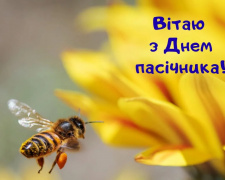 Свято меду та бджіл: коли відзначають День пасічника у 2026 році - фото з відкритих джерел
