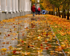 Мовна палітра осені: архаїзми, які оживають - фото з відкритих джерел