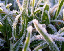 Українців чекає прохолодний тиждень: де будуть дощі та заморозки - фото з відкритих джерел