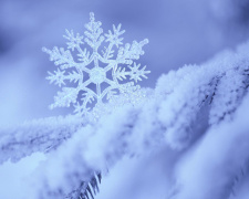 Сніжинка - фото ілюстративне з відкритих джерел  